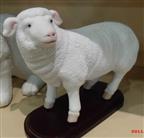 Resin Sheep Craft